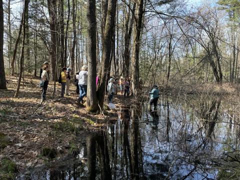 Vernal pool workshop