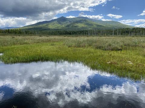 A wetland at Pondicherry Wildlife Refuge in Whitefield, NH. [Photo by Rick Van de Poll]