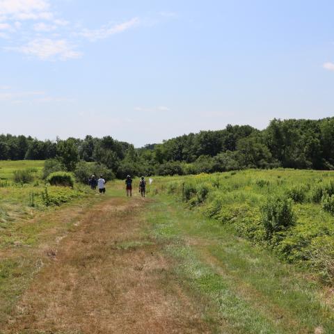 NH Butterfly Monitoring Volunteers surveying a field.