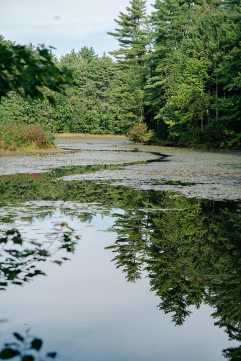 Wason Pond in Chester is conserved and stewarded by the Chester Conservation Commission. 