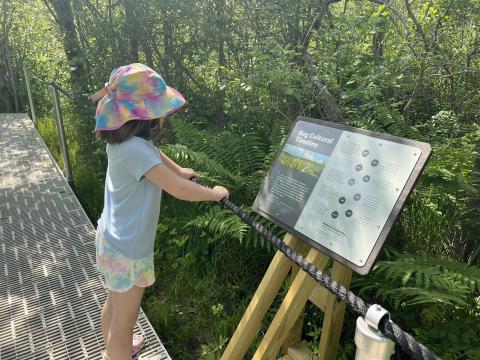 A young visitor learns about the importance of bog habitats and the history of land-use at New London’s Philbrick-Cricenti Bog