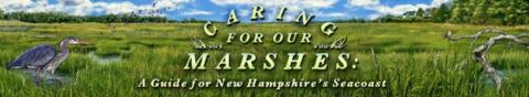 Caring for Our Marshes banner/logo