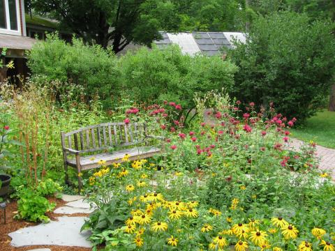Pollinator garden at the NH Audubon McLane Center in Concord, NH. A diversity of plants support pollinators and other wildlife.