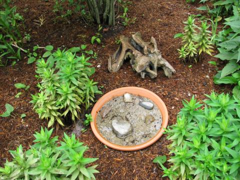 Puddler for pollinators.